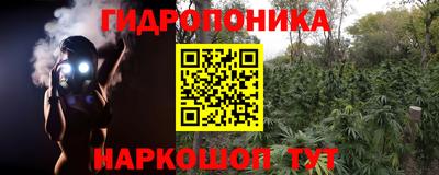 spice Будённовск