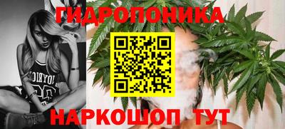 spice Будённовск