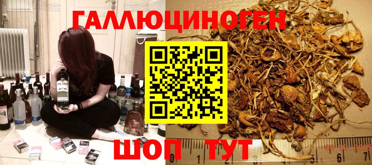 Коркино  Галлюциногенные грибы Cubensis  Вход с VPN 