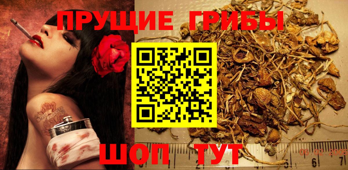 Галлюциногенные грибы прущие грибы Коркино